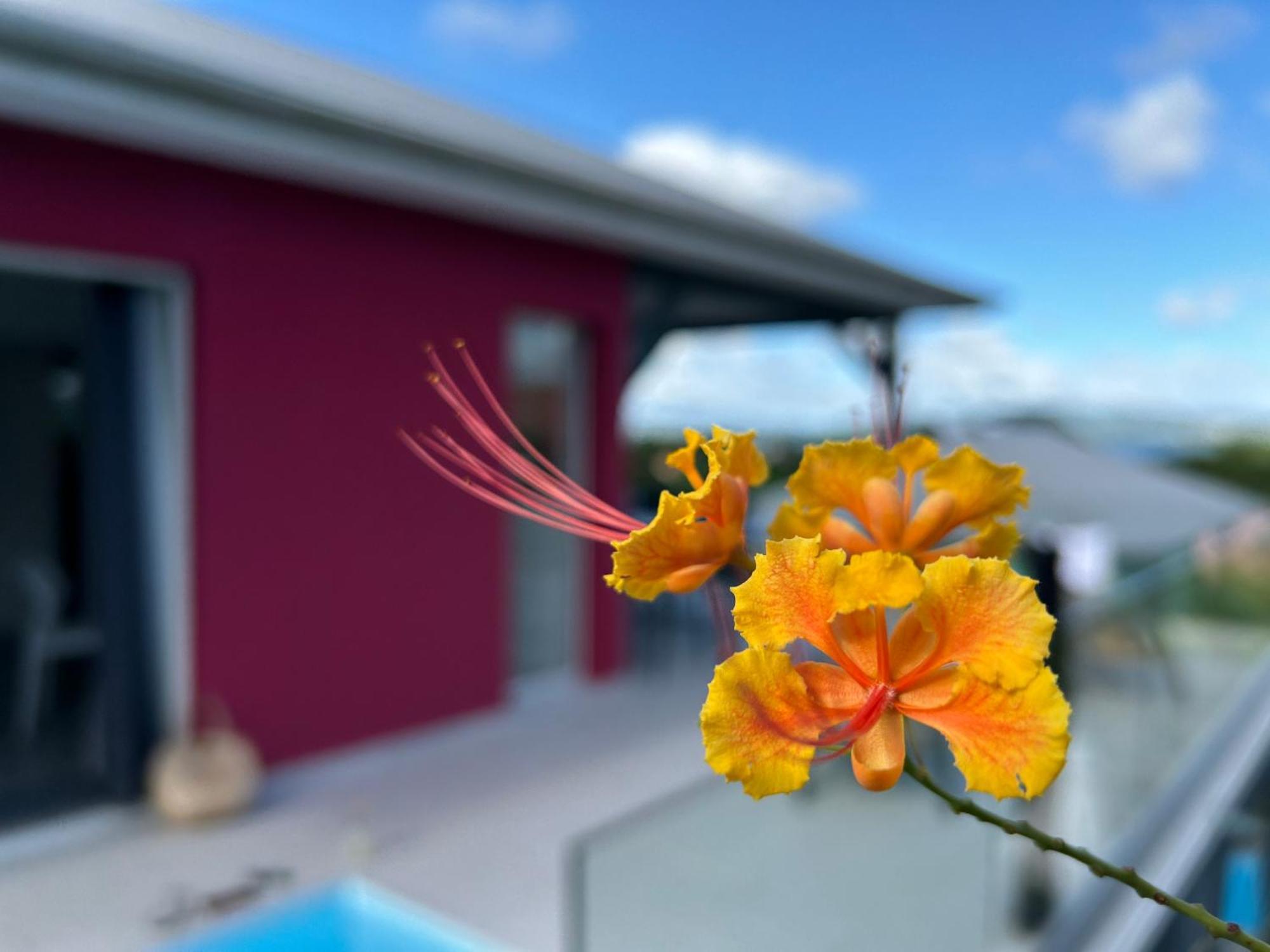 La Villa Jalna Grenadine Deux Chambres Et Piscine Privee Ле Троа-Илет Екстериор снимка