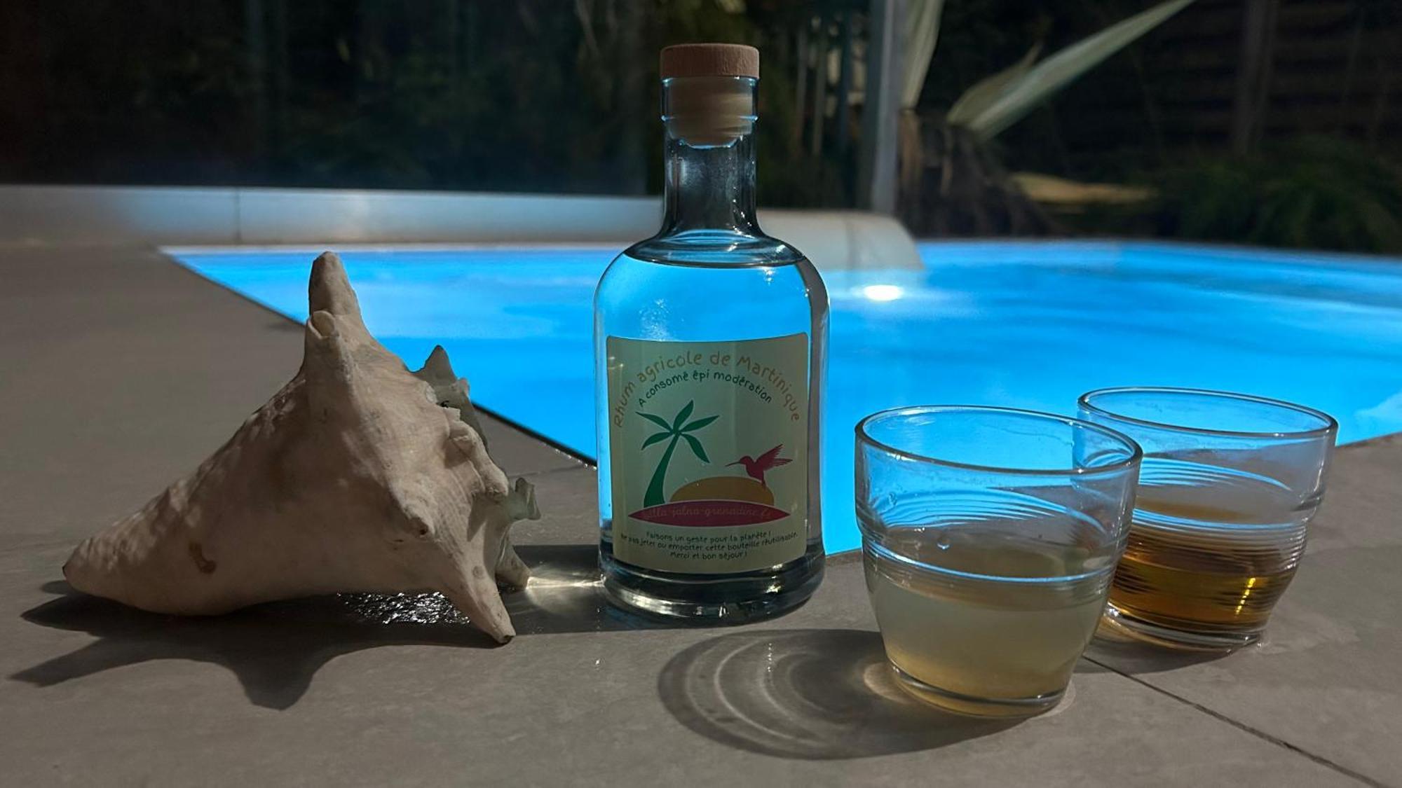 La Villa Jalna Grenadine Deux Chambres Et Piscine Privee Ле Троа-Илет Екстериор снимка